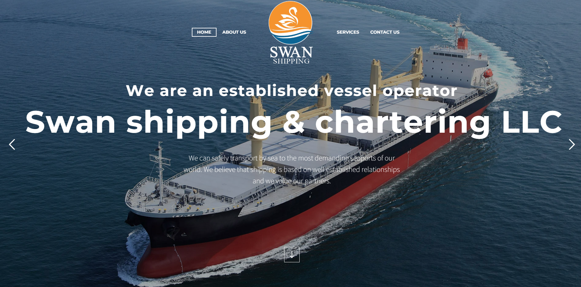 Swan Shipping LLC
